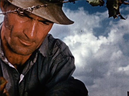 Born in the sun thumbnail image.