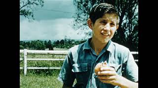 Flying menace thumbnail image.