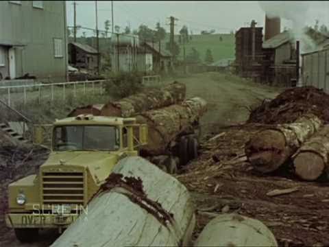 Timber town thumbnail image.