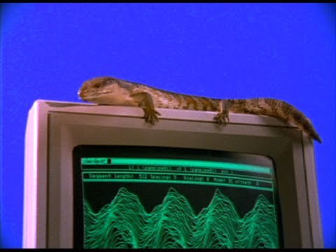 Sounds Like Australia thumbnail image.