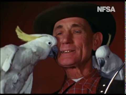 Cockatoo circus thumbnail image.