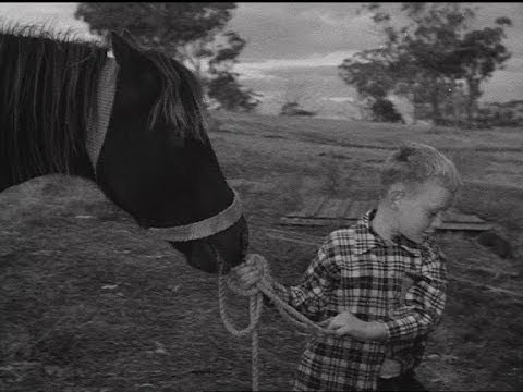 Pony Club thumbnail image.