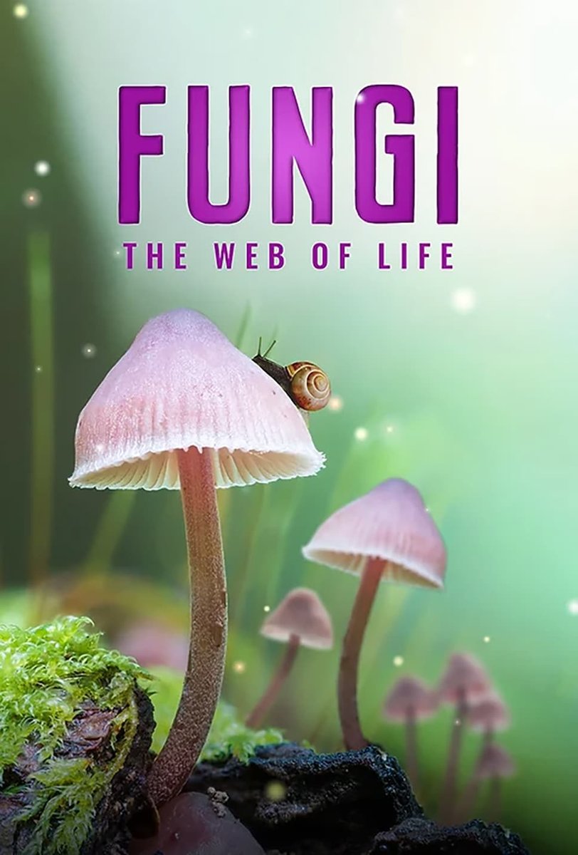 Fungi: The Web of Life thumbnail image.