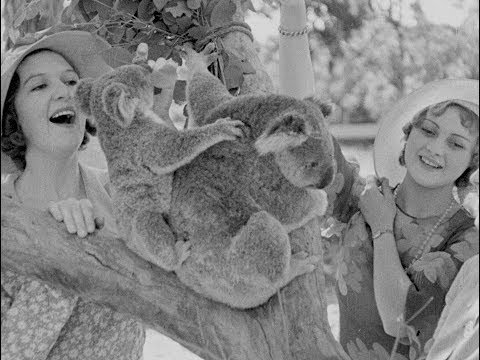 Australia calling thumbnail image.