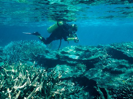 Great Barrier Reef thumbnail image.