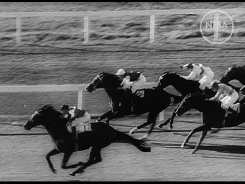 Australian diary. No. 002 thumbnail image.