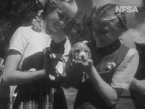 Australian diary. No. 026 thumbnail image.