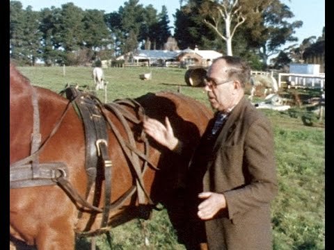 Ken Howard: saddler and harness maker thumbnail image.