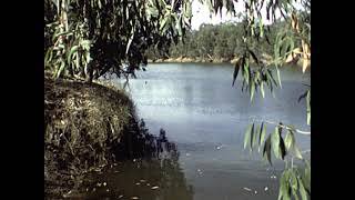 [Wallace Clarke Home Movies: Reel 7] thumbnail image.