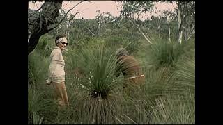 [Wallace Clarke Home Movies: Reel 15] thumbnail image.