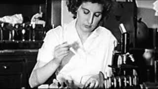 [Remix: Women in science and technology] thumbnail image.