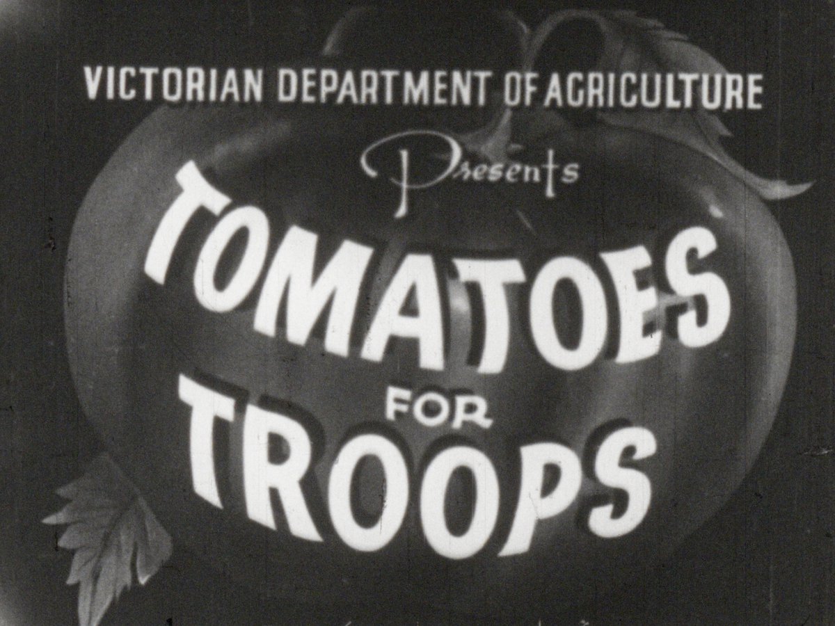 Tomatoes for Troops thumbnail image.