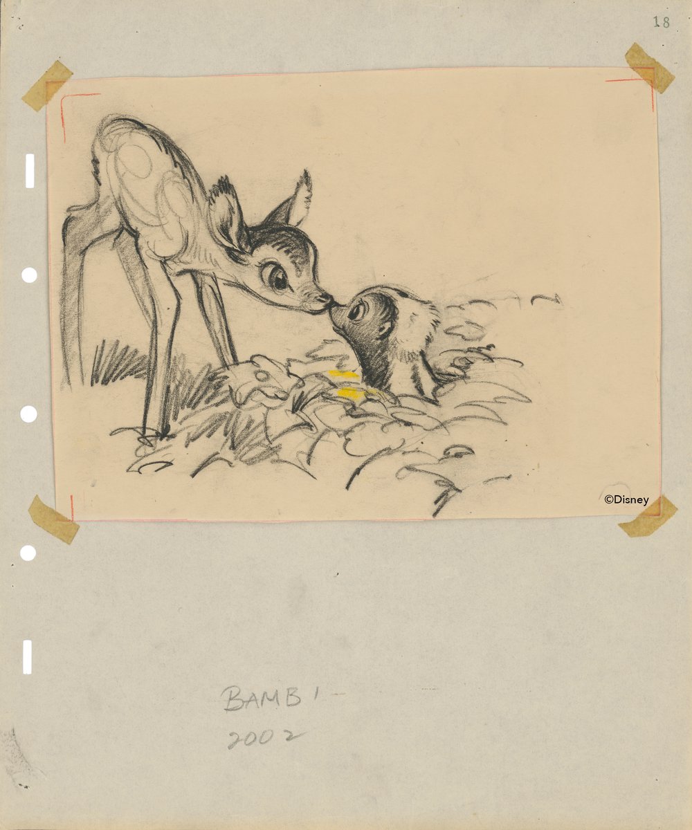 A pencil sketch of the beloved Disney character Bambi, a small, bright-eyed deer who is leaning down to touch noses with a skunk emerging from a field of flowers. The image is taped to a sheet of paper by yellowing masking tape at the corners.