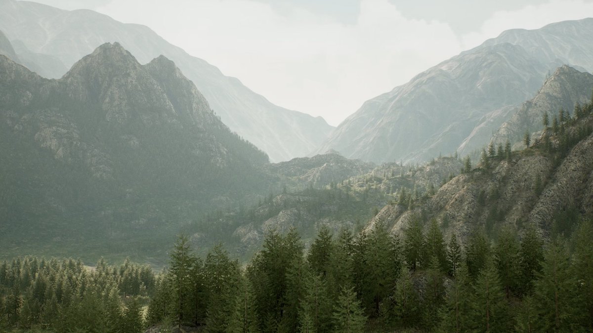 An image of a CGI rendered forest