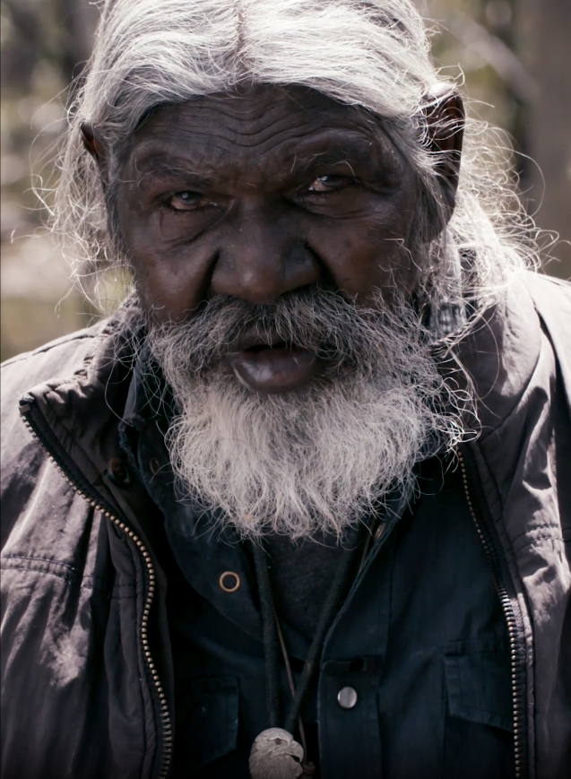 An image of legendary Indigenous actor David Gulpilil, with a white beard and hair tied back in a pony tail, wearing a blue shirt and dark brown jacket with the bush obscured in the background