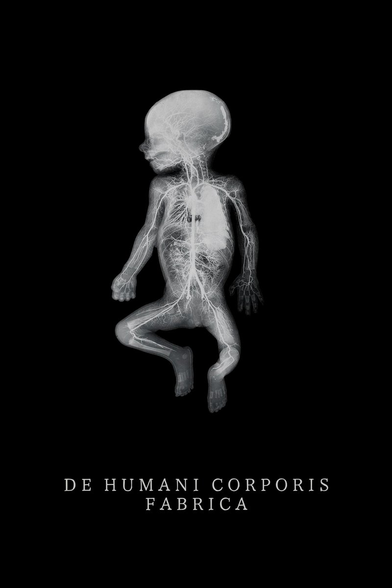 De Humani Corporis Fabrica thumbnail image.