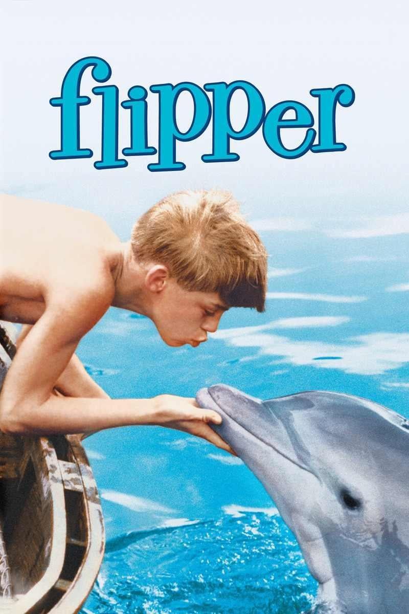 Flipper thumbnail image.
