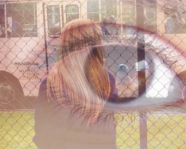 Fading scars thumbnail image.