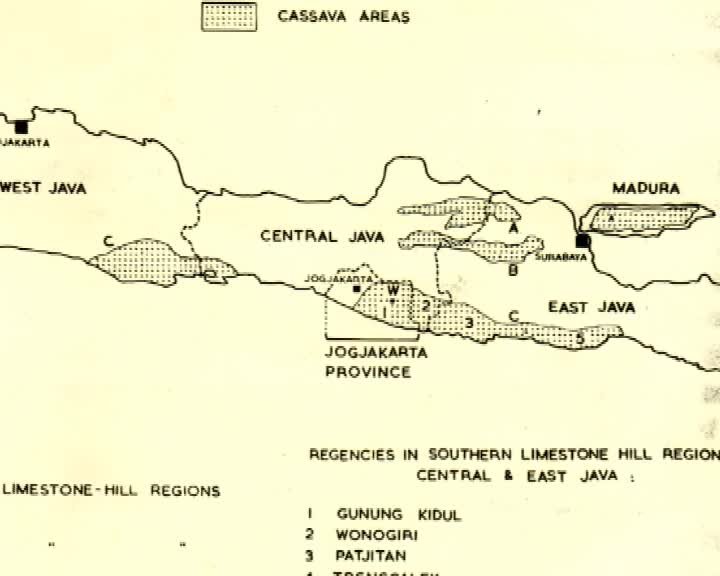 A still image from Autumn of life