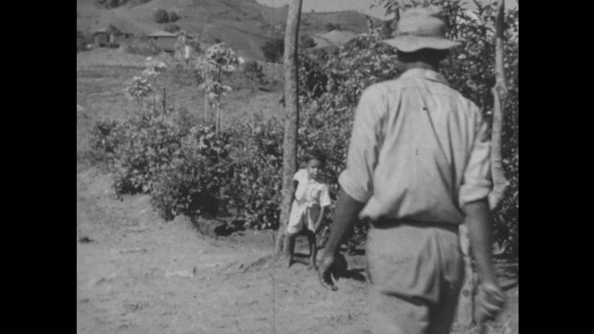 A still image from Roots of happiness