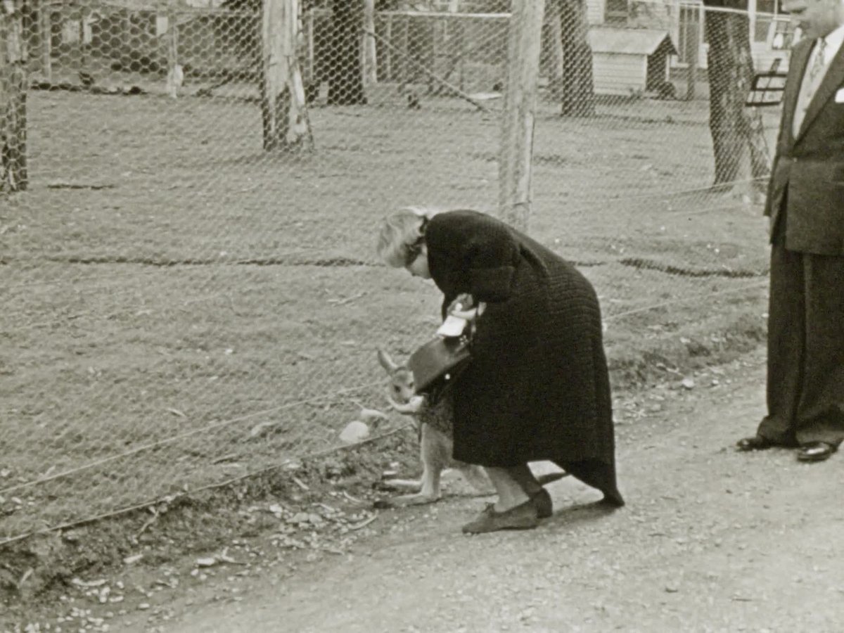 A still image from [Visit to Healesville Sanctuary by Princess Alexandra]