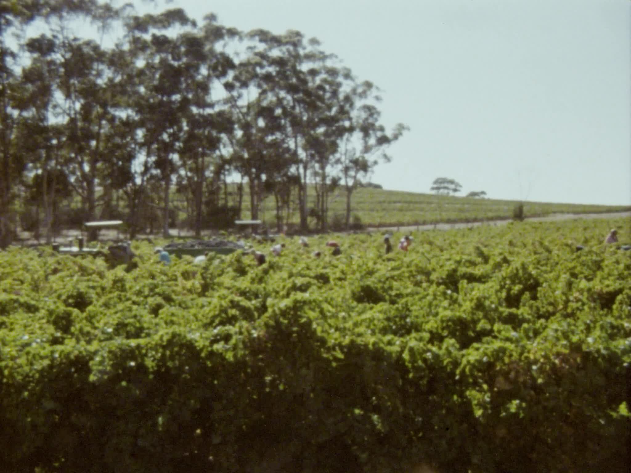 Australian vintage thumbnail image.