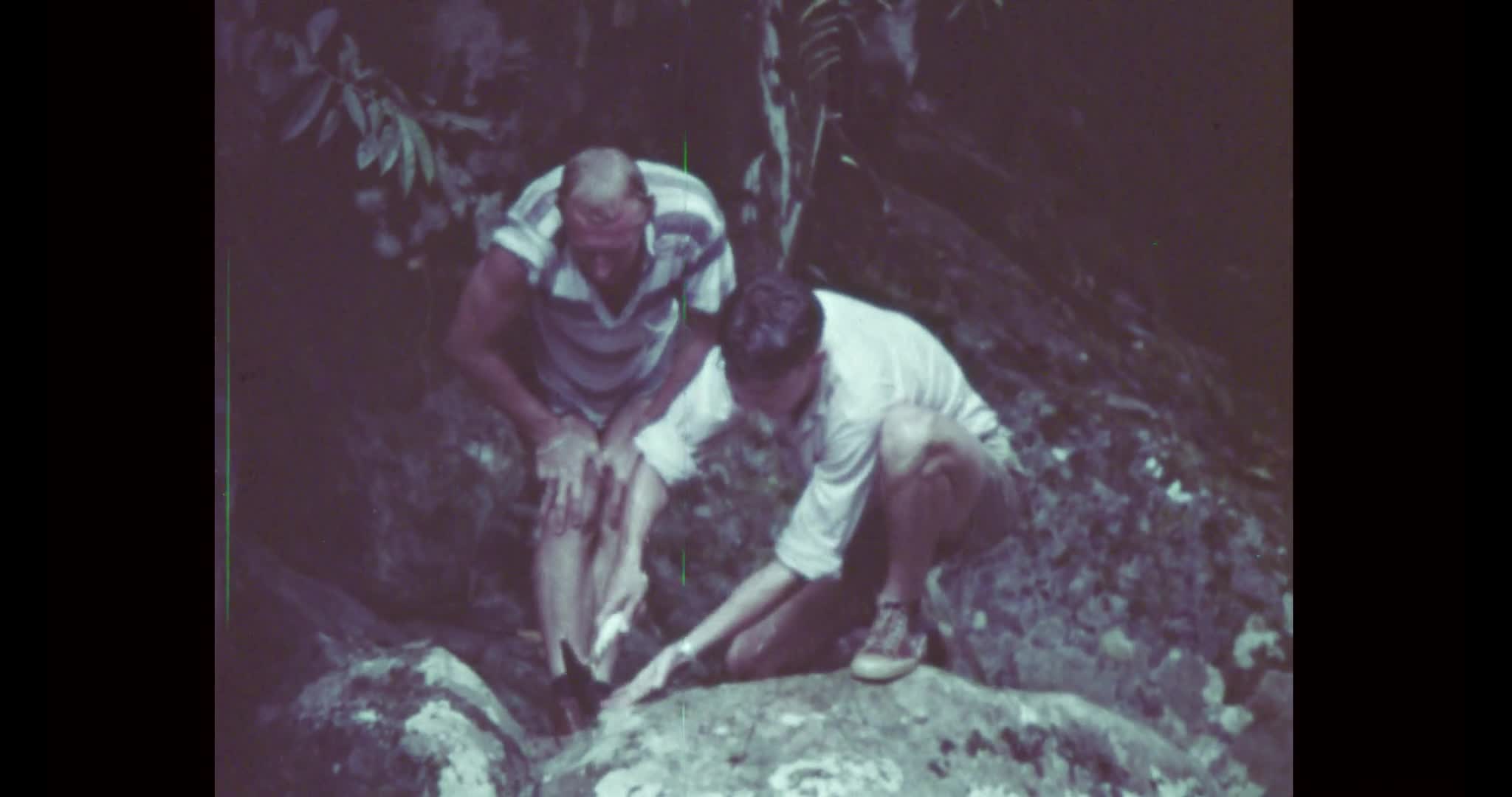 For Tomorrow thumbnail image.