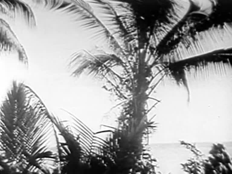 An Interview with Douglas McLean thumbnail image.