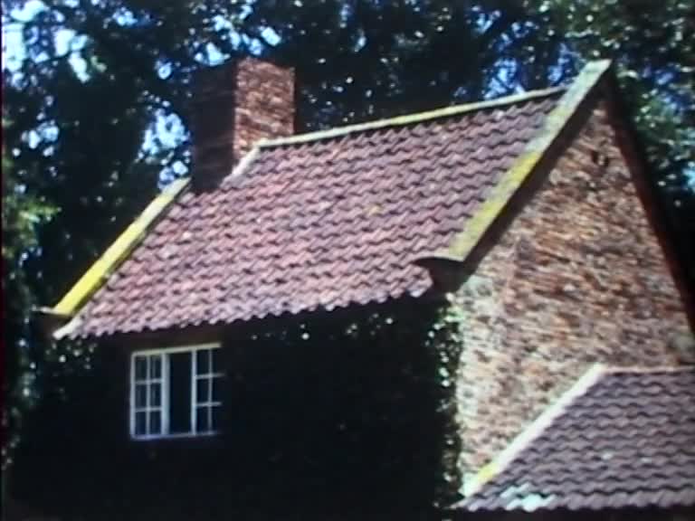 Fred's Films. Our Family [excerpt] thumbnail image.