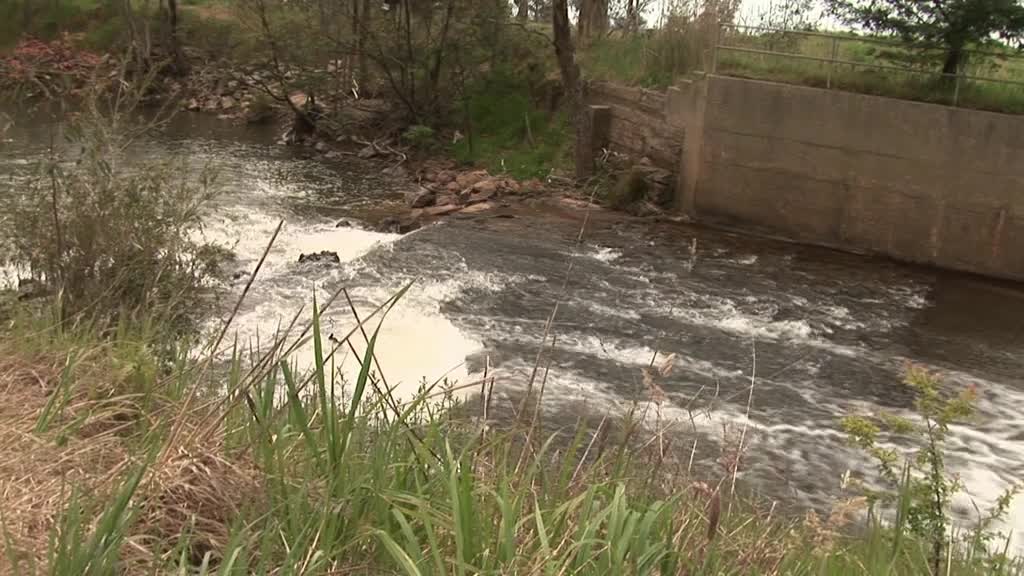 The Greta Swamp thumbnail image.