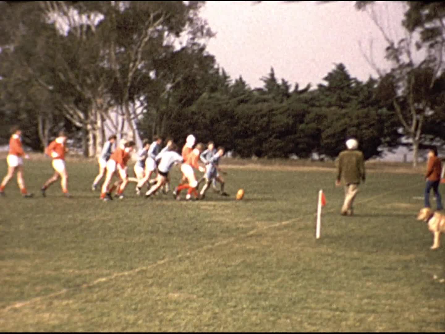 [Gadsden Family Home Movie Collection: Reel 36] thumbnail image.