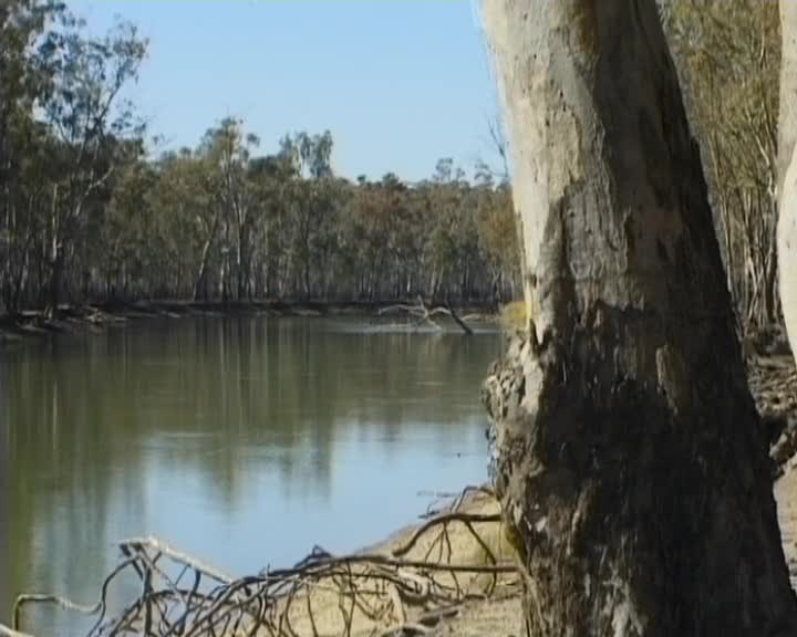 Strong and Proud thumbnail image.