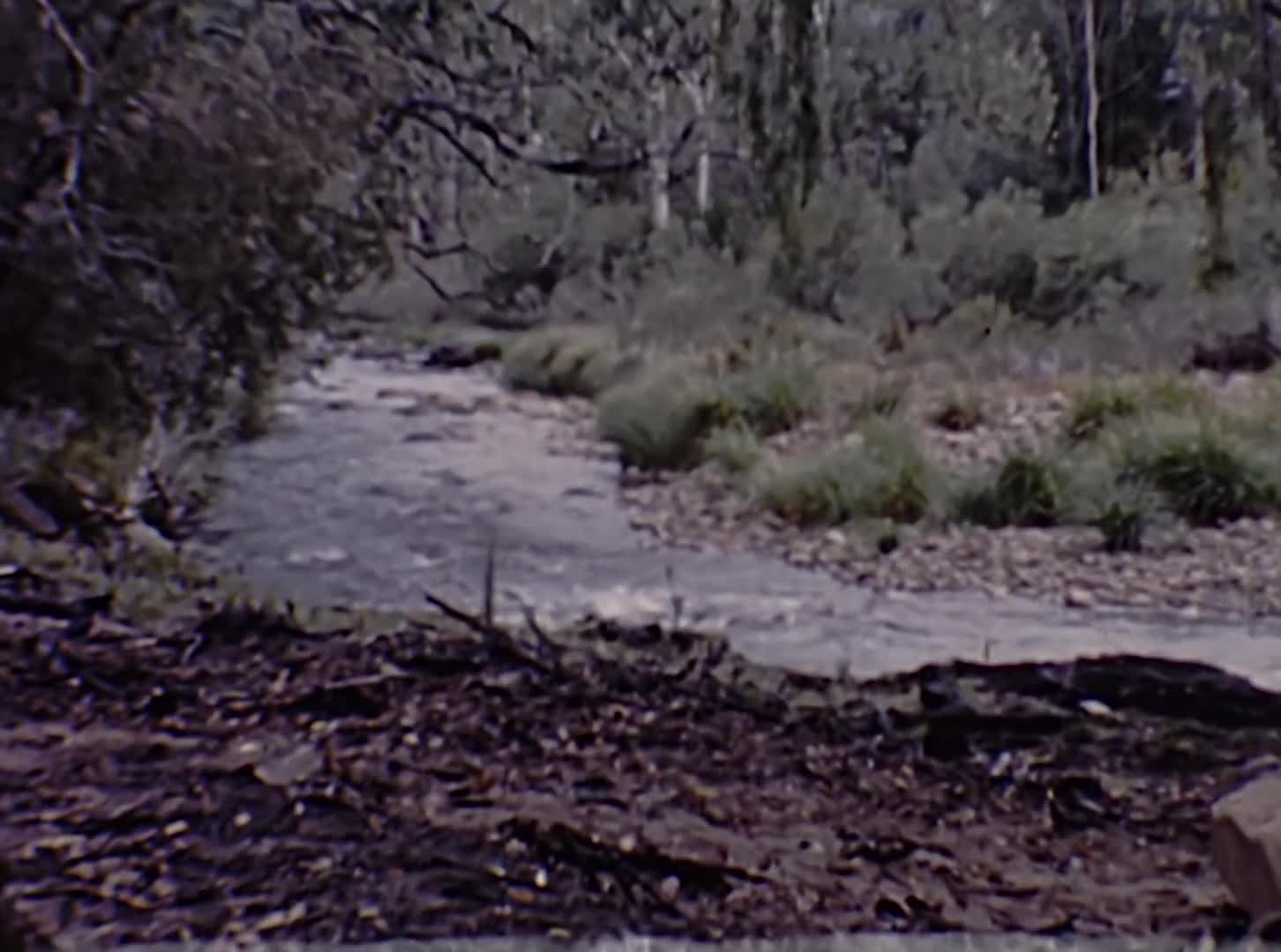 [Charles Hayes Home Movies: Reel 1] thumbnail image.