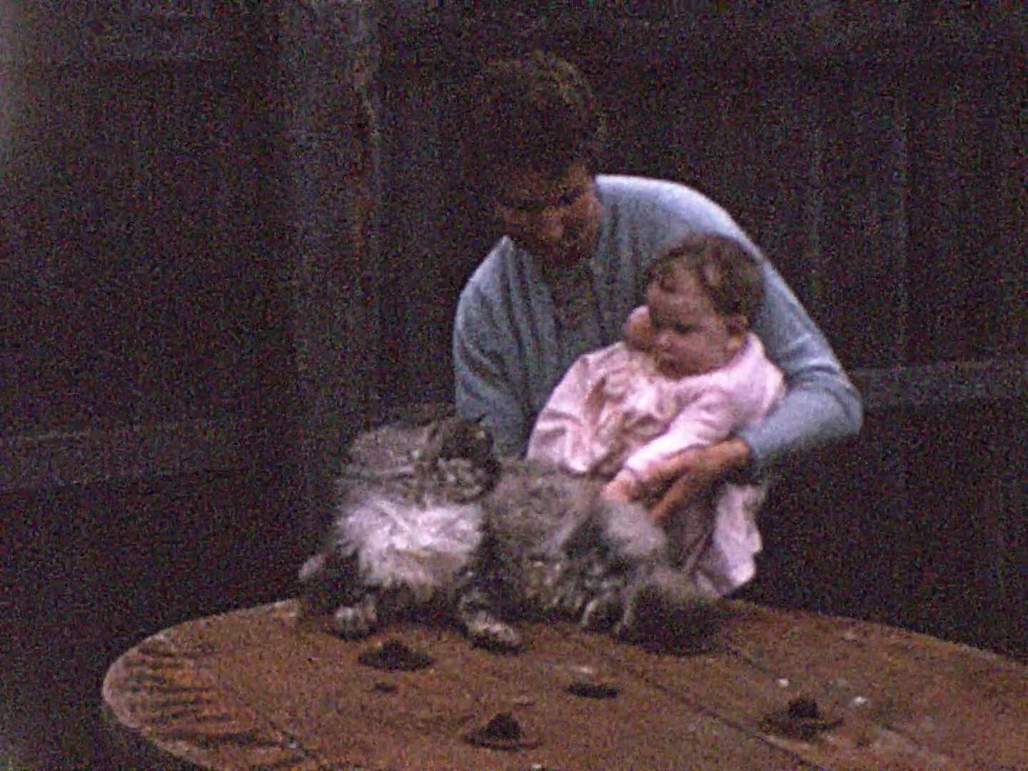 [Nixon Family Home Movies: Reel 1] thumbnail image.