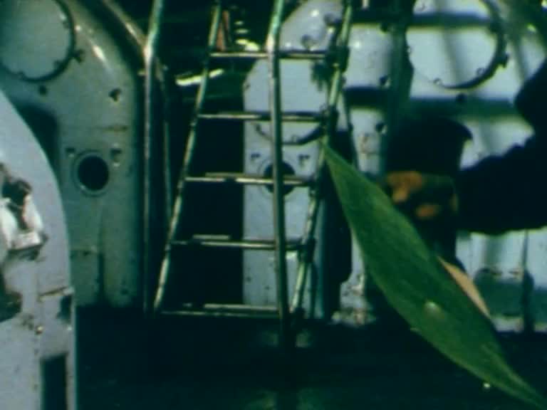 The Age of change thumbnail image.