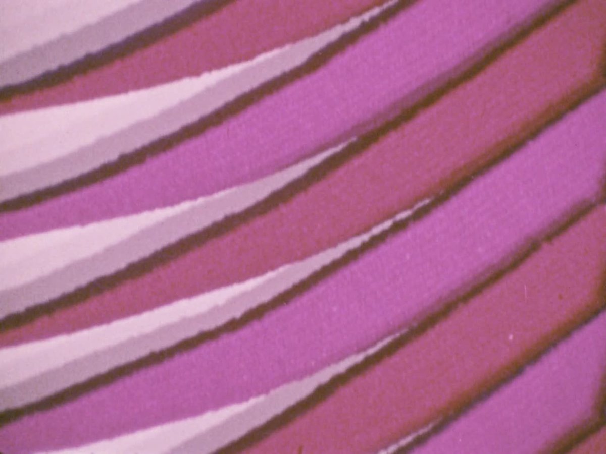 A still image from Wool: an exhibition of the Art Gallery of South Australia, Adelaide Festival of Arts, 1972