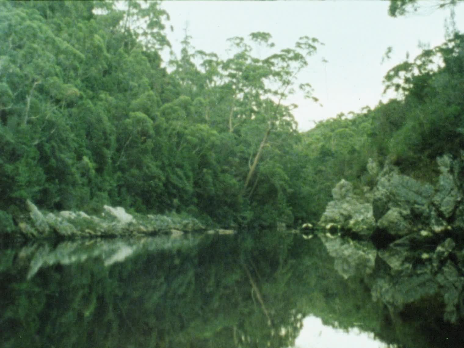 Tasmania's south west: a wilderness in question thumbnail image.