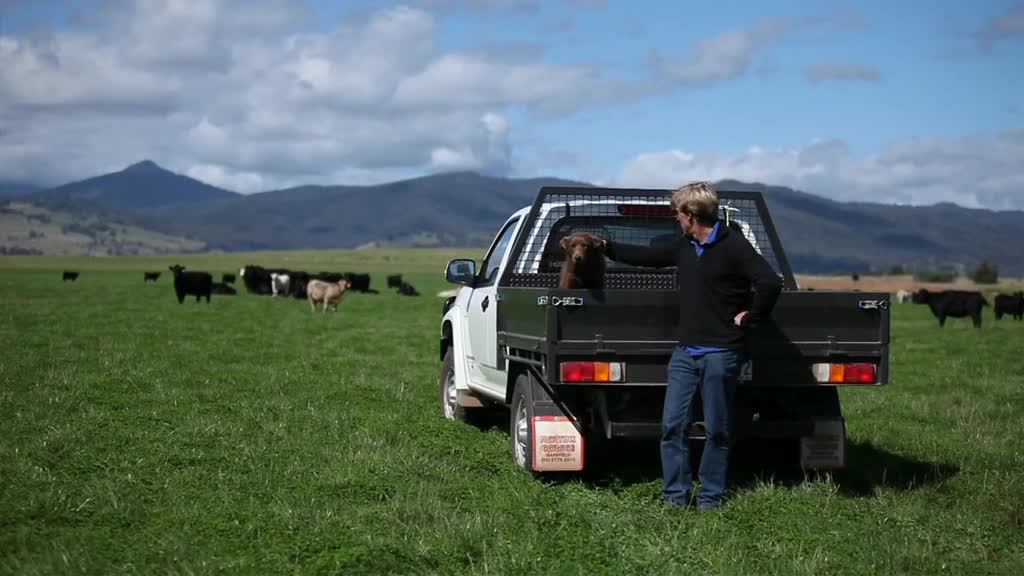 Three stories of agriculture in Mansfield thumbnail image.