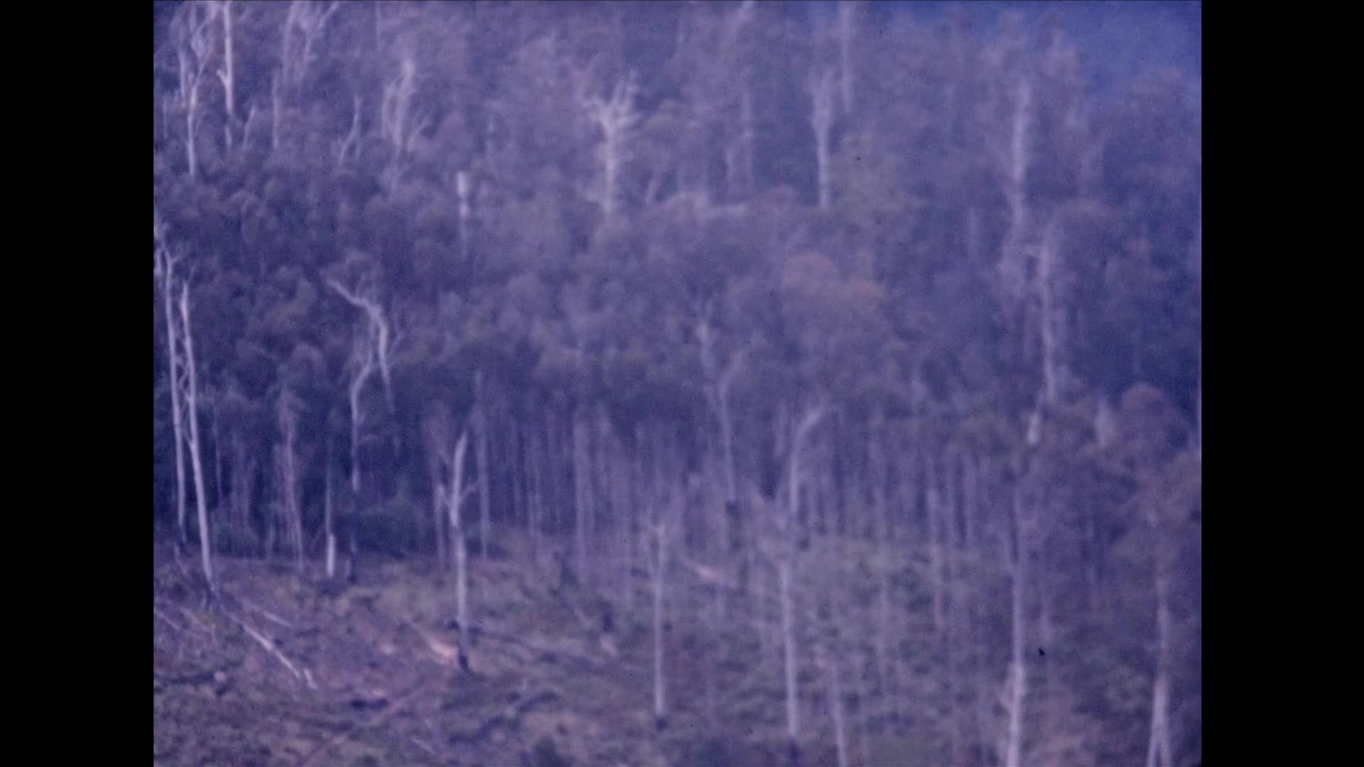 [KenRa Films Present: the Kenneth Rankine Home Movie Collection: Reel 13] thumbnail image.