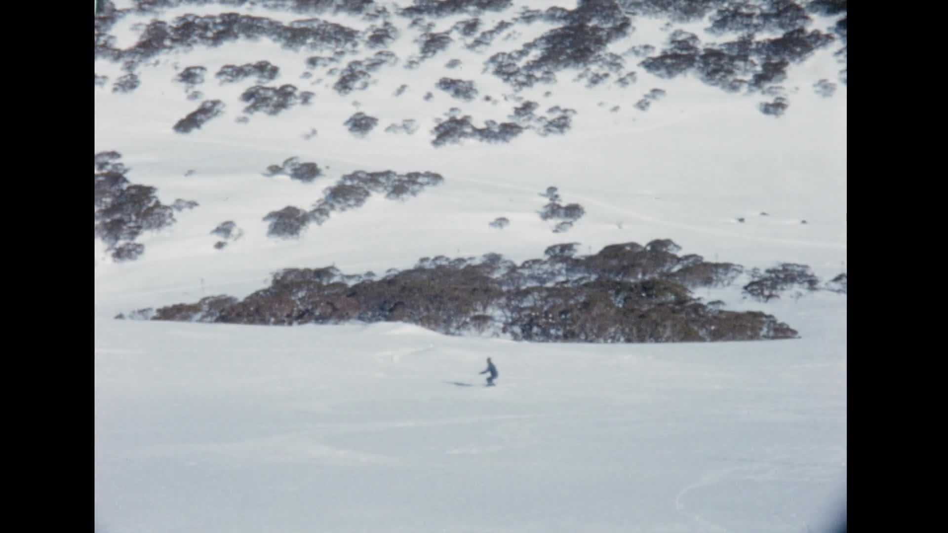 [Gadsden Family Home Movie Collection: Reel 165] thumbnail image.