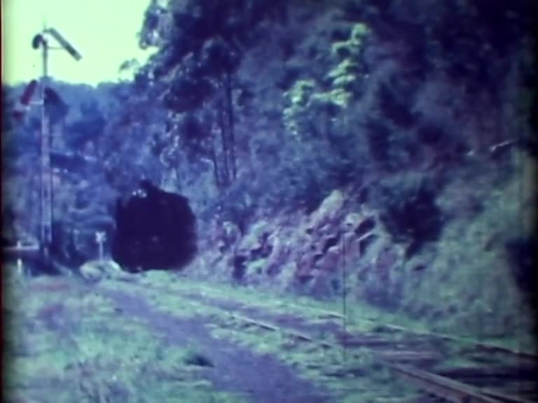 Fred's Films. Warburton Line 1963 thumbnail image.