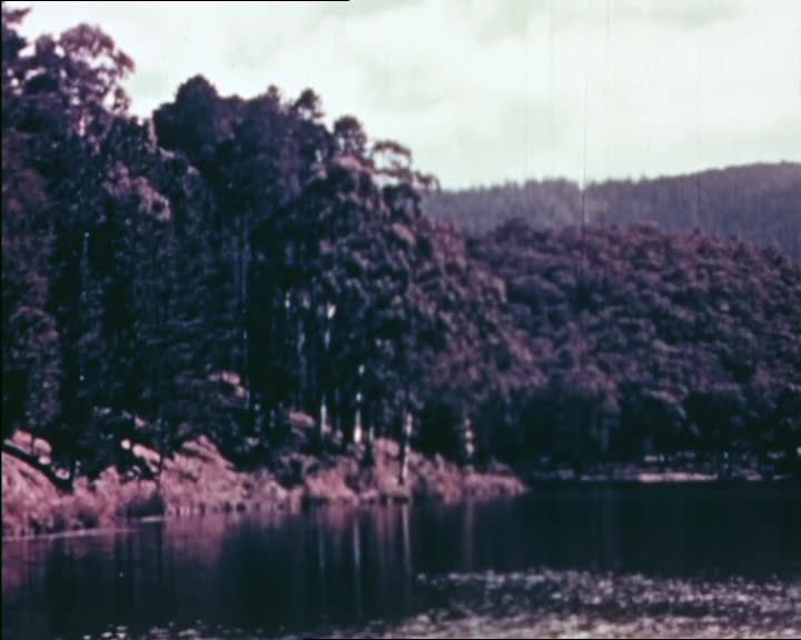 Bush and beach around Melbourne thumbnail image.