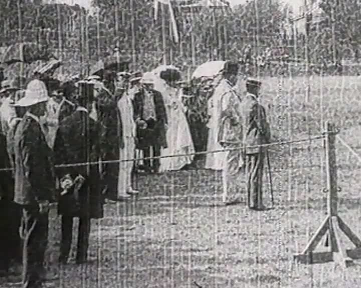 Living Hawthorn thumbnail image.