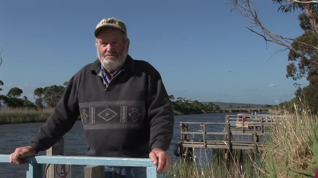 Paddle Steamer Curlip thumbnail image.