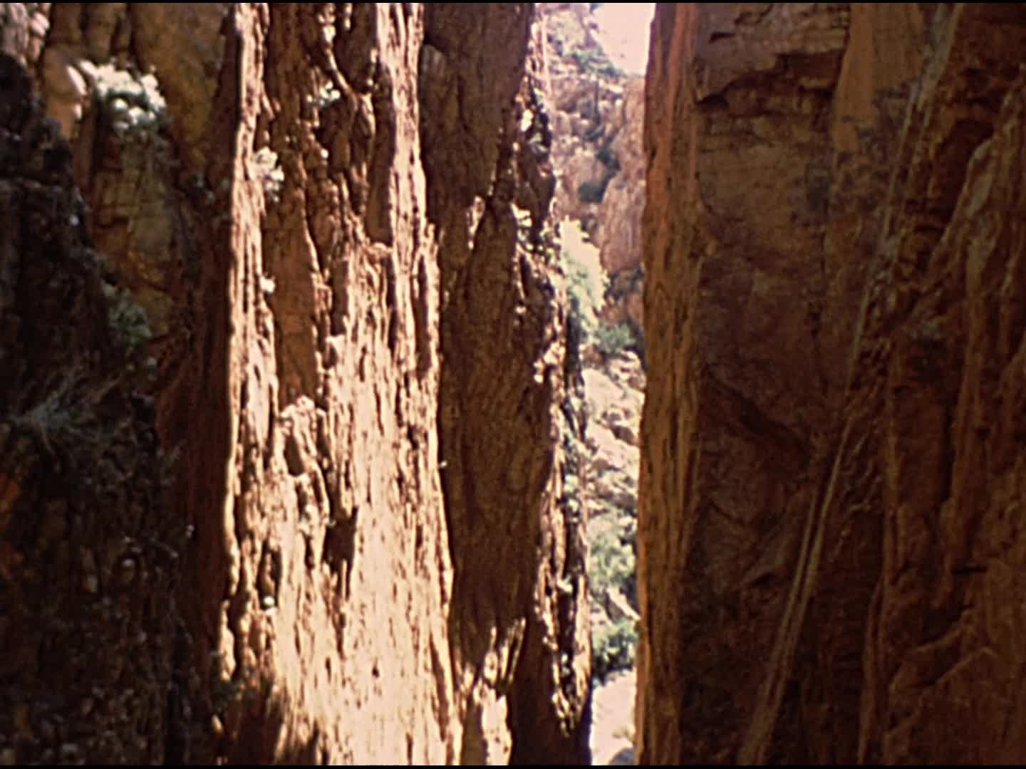 [Gadsden Family Home Movie Collection: Reel 19] thumbnail image.