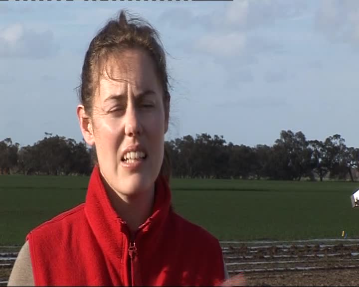 The Birchip Cropping Group thumbnail image.