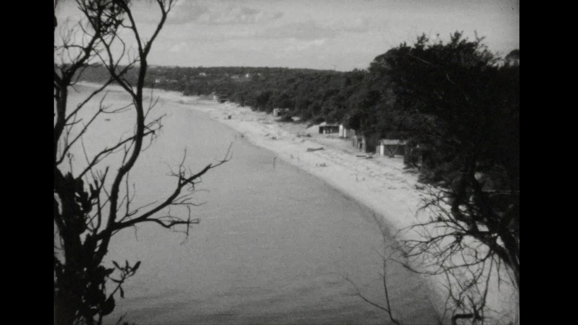 [Gadsden Family Home Movie Collection: Reel 147] thumbnail image.