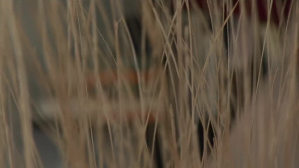 Loch Ladies thumbnail image.