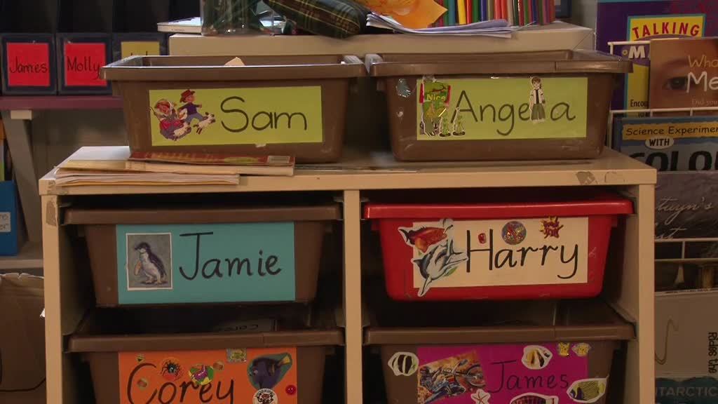 Jamieson Primary School thumbnail image.