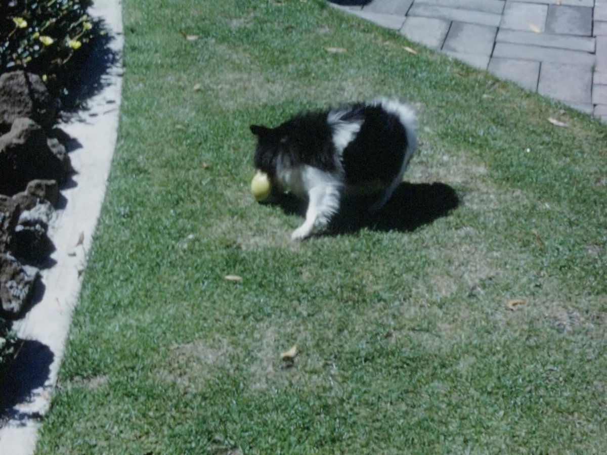 A still image from [John Anderson Home Movies: Reel 25]